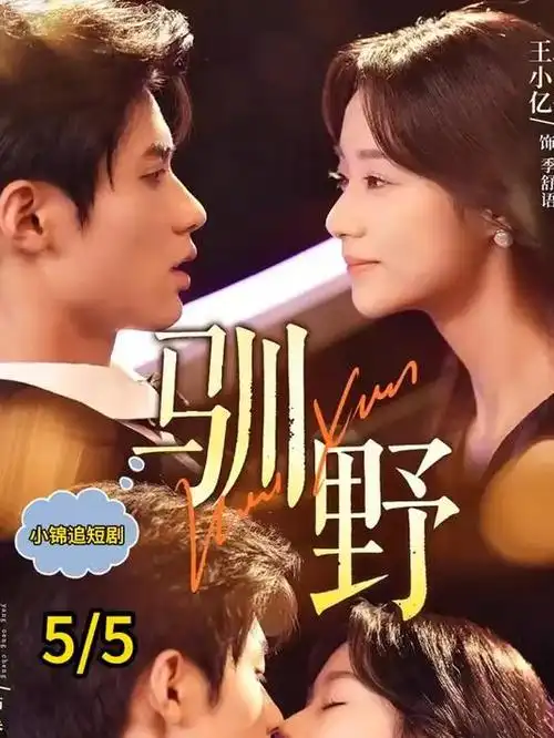 雾港悬疑电视剧全集手机在线观看